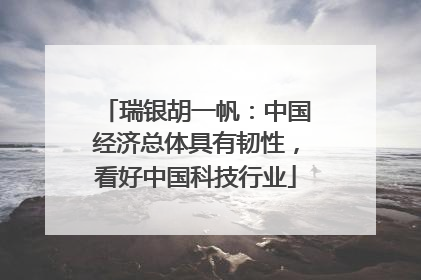 瑞银胡一帆：中国经济总体具有韧性，看好中国科技行业