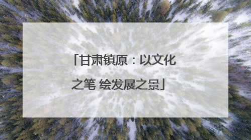 甘肃镇原：以文化之笔 绘发展之景