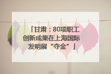 甘肃：80项职工创新成果在上海国际发明展“夺金”