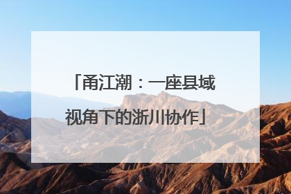 甬江潮：一座县域视角下的浙川协作