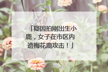 疑因拍刚出生小鹿，女子在市区内遭梅花鹿攻击！