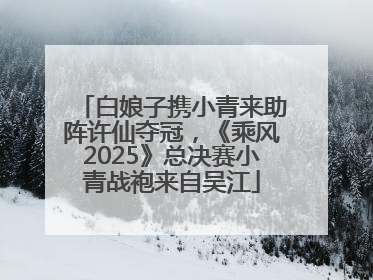 白娘子携小青来助阵许仙夺冠，《乘风2025》总决赛小青战袍来自吴江