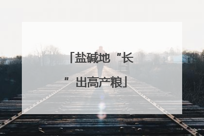 盐碱地“长”出高产粮