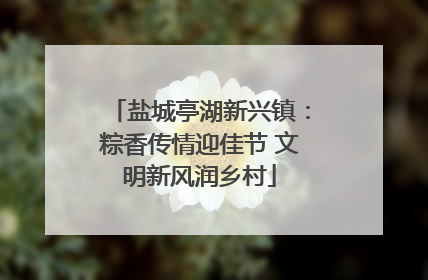 盐城亭湖新兴镇：粽香传情迎佳节 文明新风润乡村