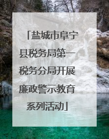 盐城市阜宁县税务局第一税务分局开展廉政警示教育系列活动