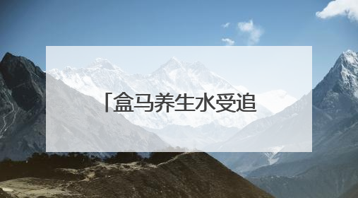 盒马养生水受追捧，打造年轻消费者养生新选择