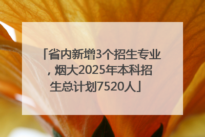 省内新增3个招生专业，烟大2025年本科招生总计划7520人