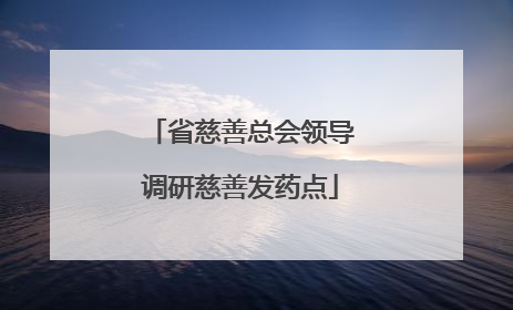 省慈善总会领导调研慈善发药点
