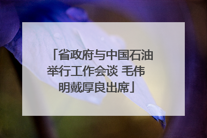 省政府与中国石油举行工作会谈 毛伟明戴厚良出席