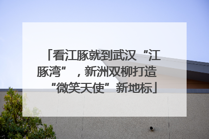 看江豚就到武汉“江豚湾”，新洲双柳打造“微笑天使”新地标