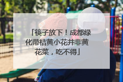 筷子放下！成都绿化带桔黄小花并非黄花菜，吃不得