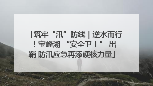 筑牢“汛”防线｜逆水而行！宝峰湖 “安全卫士” 出鞘 防汛应急再添硬核力量