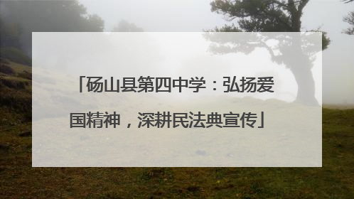 砀山县第四中学：弘扬爱国精神，深耕民法典宣传