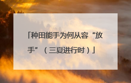 种田能手为何从容“放手”（三夏进行时）