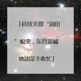 科技支撑“油田”蜕变，东营盐碱地油菜丰收忙