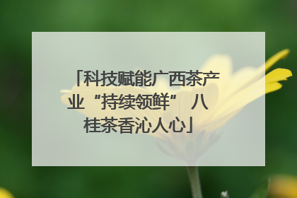 科技赋能广西茶产业“持续领鲜” 八桂茶香沁人心
