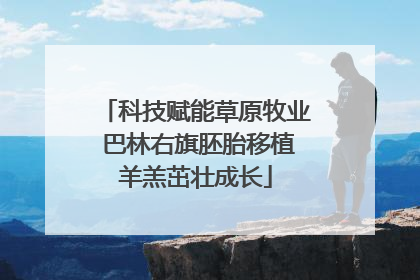 科技赋能草原牧业 巴林右旗胚胎移植羊羔茁壮成长