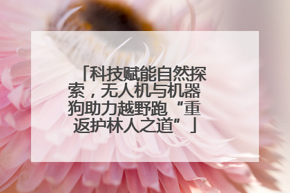 科技赋能自然探索，无人机与机器狗助力越野跑“重返护林人之道”