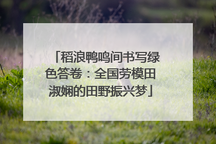 稻浪鸭鸣间书写绿色答卷：全国劳模田淑娴的田野振兴梦