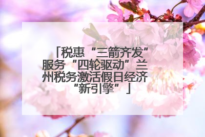 税惠“三箭齐发”服务“四轮驱动”兰州税务激活假日经济“新引擎”