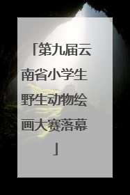 第九届云南省小学生野生动物绘画大赛落幕