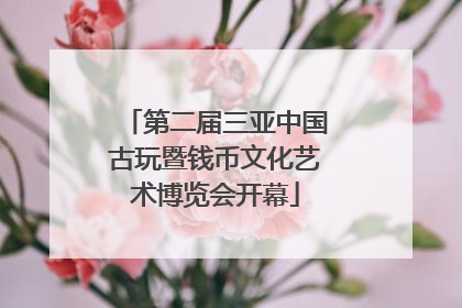 第二届三亚中国古玩暨钱币文化艺术博览会开幕