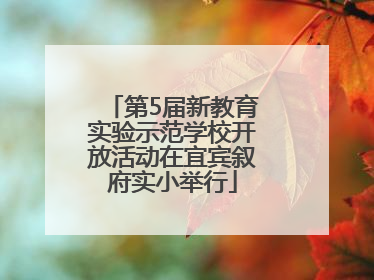 第5届新教育实验示范学校开放活动在宜宾叙府实小举行