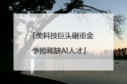 美科技巨头砸重金争抢稀缺AI人才