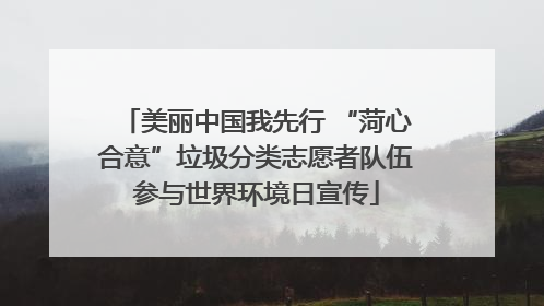 美丽中国我先行 “菏心合意”垃圾分类志愿者队伍参与世界环境日宣传