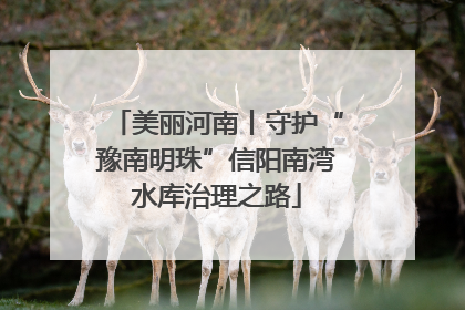 美丽河南丨守护“豫南明珠”信阳南湾水库治理之路