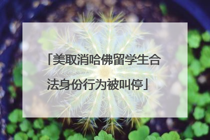 美取消哈佛留学生合法身份行为被叫停