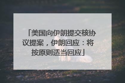 美国向伊朗提交核协议提案，伊朗回应：将按原则适当回应