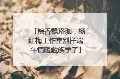 粽香飘珞珈，杨红梅工作室别样端午情暖藏族学子