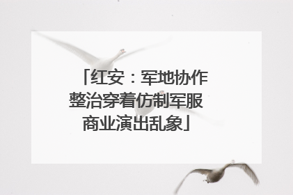 红安：军地协作整治穿着仿制军服商业演出乱象