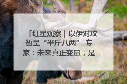 红星观察｜以伊对攻暂呈“半斤八两” 专家：未来真正变量，是美国是否进一步介入