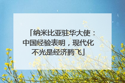 纳米比亚驻华大使：中国经验表明，现代化不光是经济腾飞