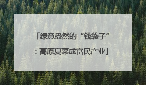 绿意盎然的“钱袋子”：高原夏菜成富民产业