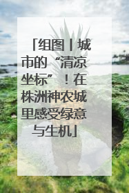 组图丨城市的“清凉坐标”！在株洲神农城里感受绿意与生机