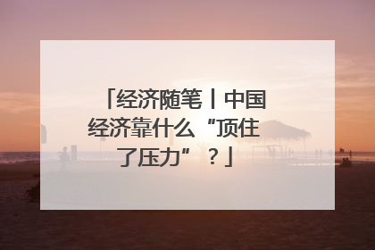 经济随笔丨中国经济靠什么“顶住了压力”？