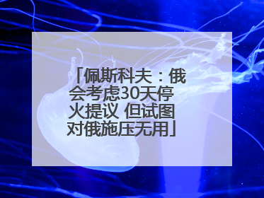 佩斯科夫：俄会考虑30天停火提议 但试图对俄施压无用