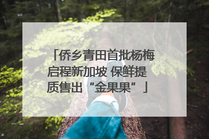 侨乡青田首批杨梅启程新加坡 保鲜提质售出“金果果”