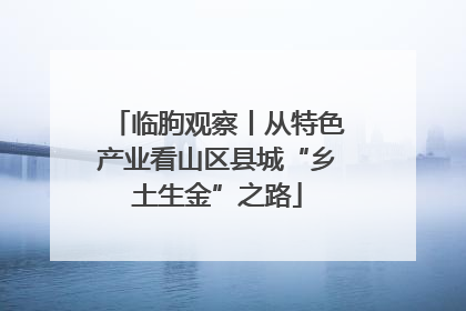 临朐观察丨从特色产业看山区县城“乡土生金”之路