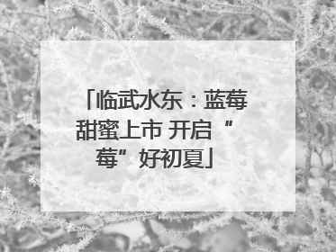 临武水东：蓝莓甜蜜上市 开启“莓”好初夏