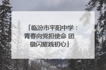 临汾市平阳中学：青春向党担使命 团徽闪耀践初心