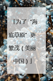 为了“海底草原”更繁茂（美丽中国）