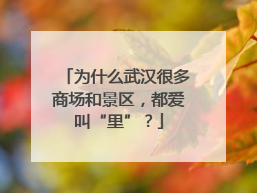 为什么武汉很多商场和景区，都爱叫“里”？