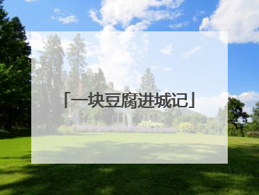 一块豆腐进城记