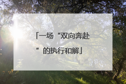 一场“双向奔赴”的执行和解