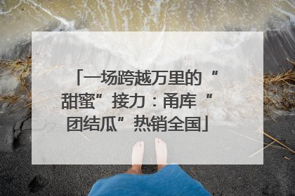 一场跨越万里的“甜蜜”接力：甬库“团结瓜”热销全国