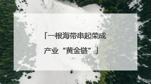 一根海带串起荣成产业“黄金链”